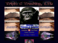 triplectrucking.com