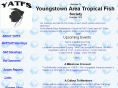 yatfs.com