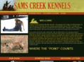 oregonpointinglabradors.com