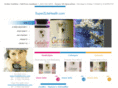 superzlitehealth.com