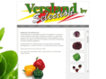 versland.com