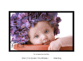 erikabishopphoto.com