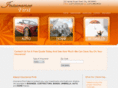 insurancefirstnm.com