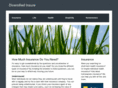 diversifiedinsure.com