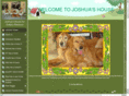 joshuashousegoldenretrieverrescue.org