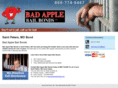 badapplebailbonds.net