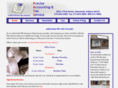 preciseaccountingandtax.com
