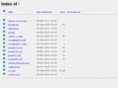 bingme1st.com