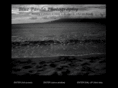 bluepandaphotography.com