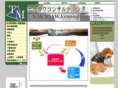 n-consultant.com