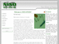 nino-invest.com