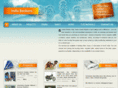 projects-abroad-india.com