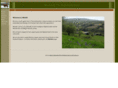 wenallt.com