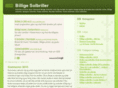 billige-solbriller.dk