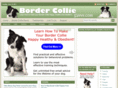 bordercolliesavvy.com