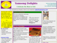 yamseng.com