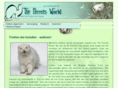 ferretsworld.net