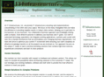itinfrastructures.net