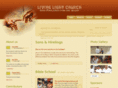 livinglightchurch.in