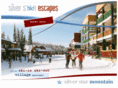 silverstarescapes.com
