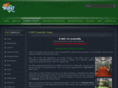 dbatlewisville.com