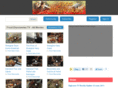 fooddiscoveriestv.com