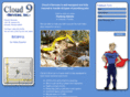 orlandolinecleaning.com