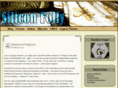 siliconfolly.com