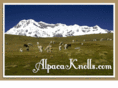 alpacaknolls.com