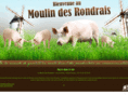 moulindesrondrais.com