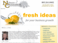 nelsonconsulting.biz