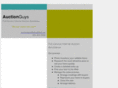 sandhillauctions.com
