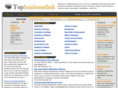topbusinesslink.com