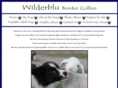 wilderblubordercollies.com