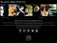 blackpawphoto.com
