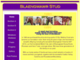 blaengwawrstud.com
