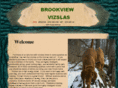 brookviewvizslas.com