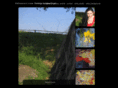 adinasart.com