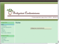 bridgeview-condos.net
