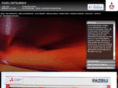 fazelicars.com