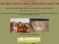 heartlandvizslas.com