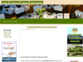 ileadvenues.co.za