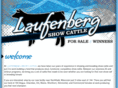 laufenbergshowcattle.com