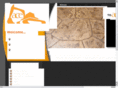aceillinois.com