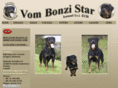 bonzistar.com