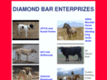 diamondbarenterprizes.com