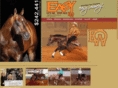 easyotiewhiz.com