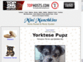 yorktese.net