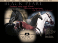 blackpearlclassicequines.com