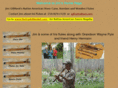 jimgillilandflutes.com